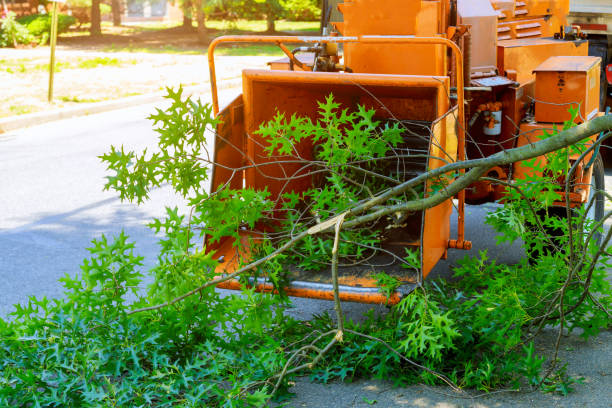 Soil Testing and Treatment in Campbell, CA